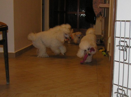 ...a zase běhání...